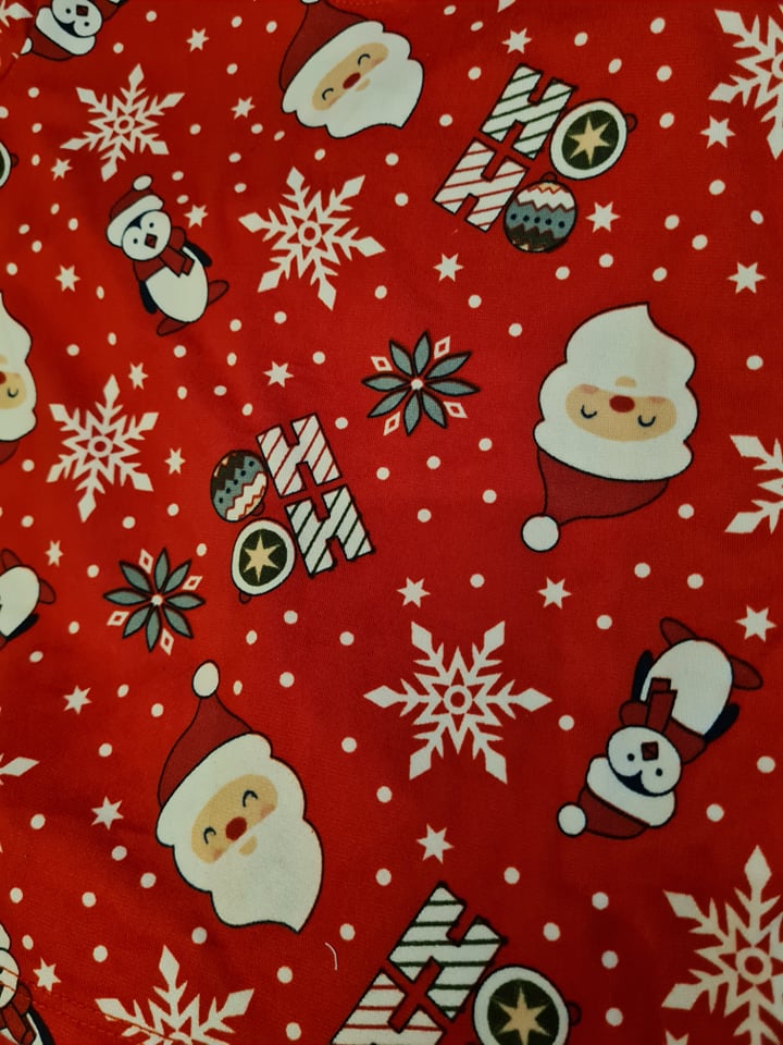 (CHRISTMAS) Santa Hoho Penguin Pajama Set