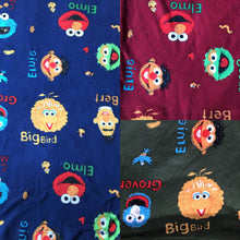 Load image into Gallery viewer, Big Bird and Friends Pajama Set
